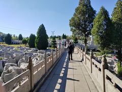 -原山国家森林公园