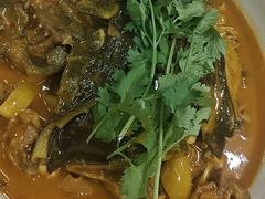 -洞庭家宴·头牌甲鱼(广渠门店)
