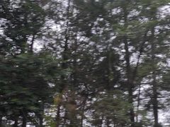 -綦江古剑山
