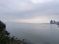 -万绿园