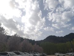 -王顺山国家森林公园