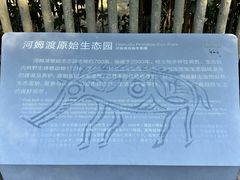 -河姆渡遗址博物馆