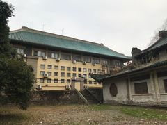-武汉大学-樱园