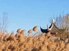 -水西公园