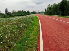 -白鹭湾湿地公园