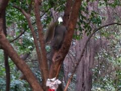 iphone_upload_pic-昆明动物园