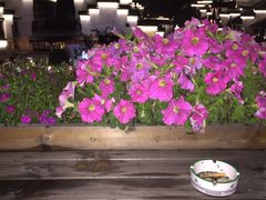 -南京夫子庙国际青年旅舍(平江府路店)