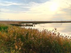 -野鸭湖国家湿地公园