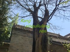 -西安关中民俗艺术博物院