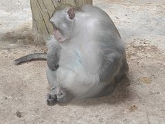 -黔灵山公园