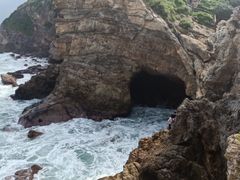 -杨梅坑