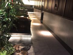 -老头儿油爆虾(星光一期店)