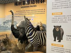 -山东省科技馆(新馆)