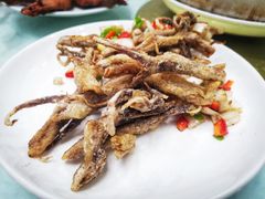 -余杨鸭鸭餐厅