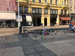 -耶拉契奇总督广场