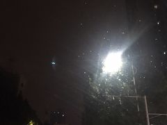 -郭记老汉口热干面