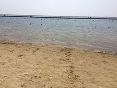 -碧海金沙
