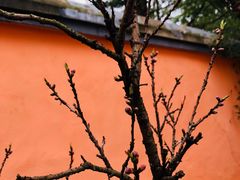 -韶山毛泽东同志故居