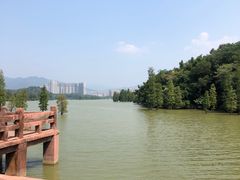 -星湖旅游景区七星岩