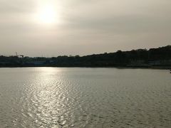-羊山湖公园