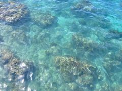 -三亚西岛海洋文化旅游区