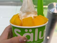 -Salud撒露欧洲冻酸奶(蓝色港湾店)