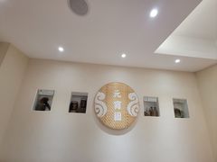 -海丝金凤(金鱼店)