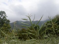 -塔川景区