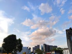 -旺角里·榴莲鸡煲(兴华商场分店)