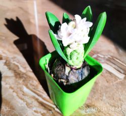 -天津市儿童医院(河西马场院区)