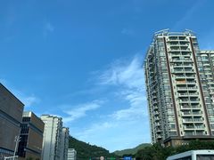 -同禧荟·港味海鲜火锅·粤菜(三亚湾店)