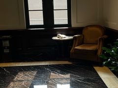 -上海瑞金洲际酒店