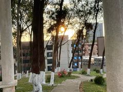 -广东外语外贸大学(白云山校区)