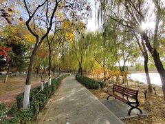 -大兴滨河森林公园