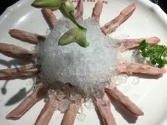 -陆派巴倒烫火锅(城东店)