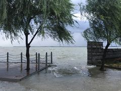 饭店院墙外的太湖-湖鲜楼
