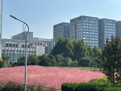 -南京奥林匹克体育中心
