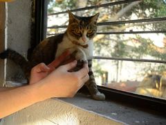 -五月木作·DIY木作文创体验店(北京路店)