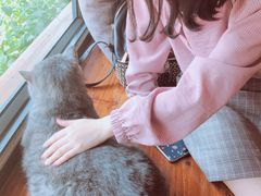 -B.O.M波姆烘焙(凤凰街店)