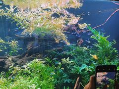 -上海海洋水族馆