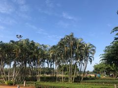 -万绿园
