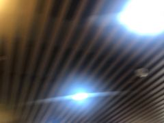 -小杨生煎(龙阳广场店)