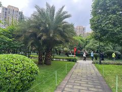-龙头寺公园
