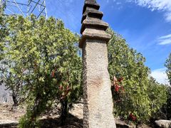 -白水寺森林公园