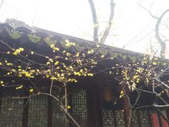 -寒山寺