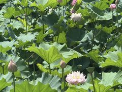 -桂林公园(地铁站)