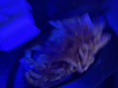 -温莎KTV(珠江路店)