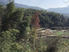 -塔川景区