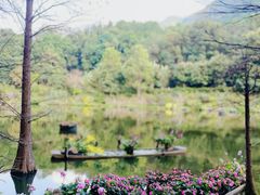 -深圳仙湖植物园