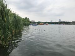 -长春市南湖公园